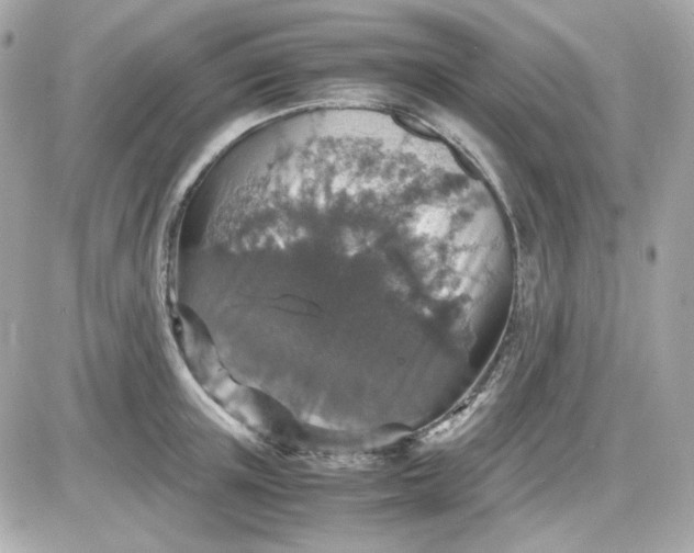 X0000087520851200705112004