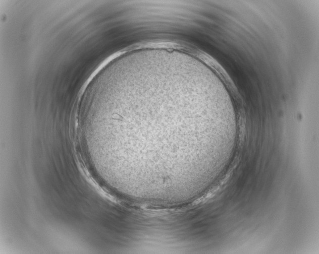 X0000087520852200705112004