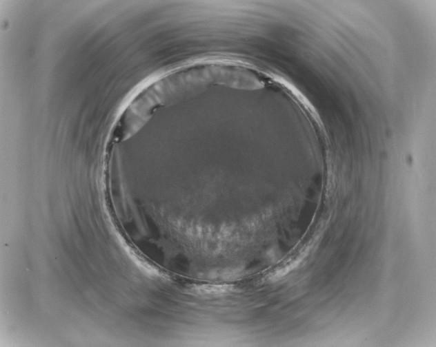 X0000087520853200705112004