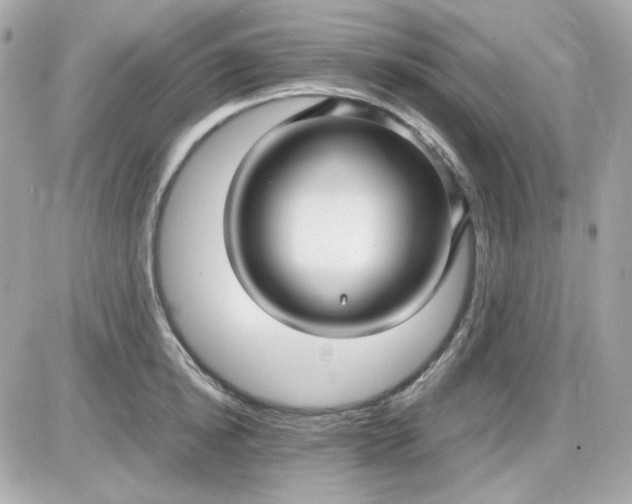 X0000087520854200705112004