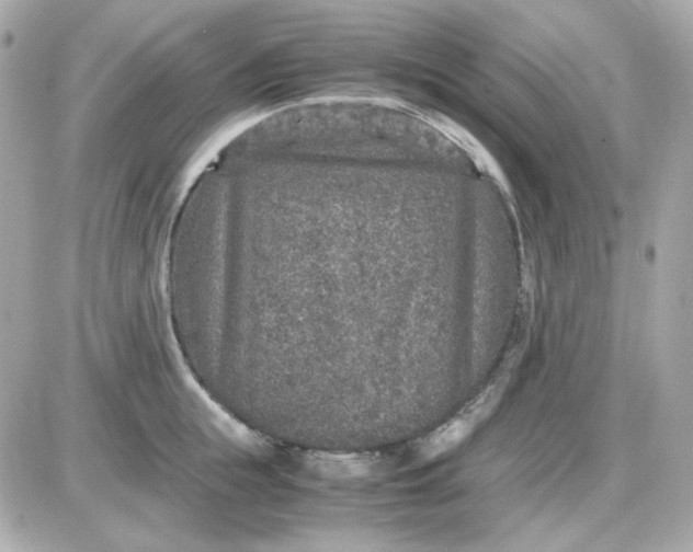 X0000087520855200705112004