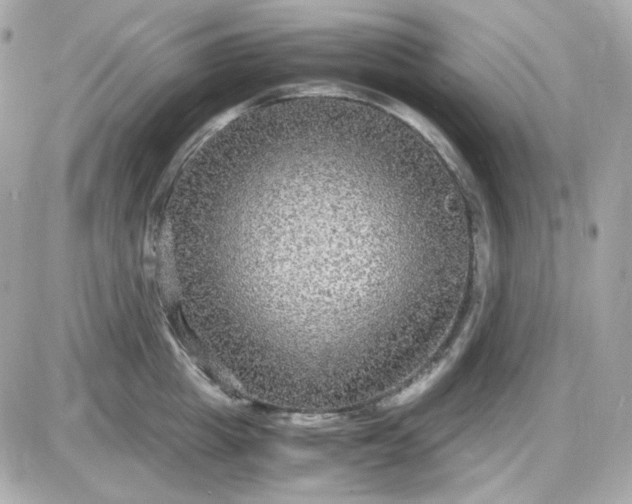 X0000087520857200705112004