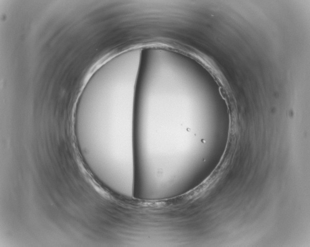 X0000087520858200705112004