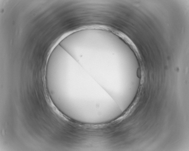 X0000087520860200705112004