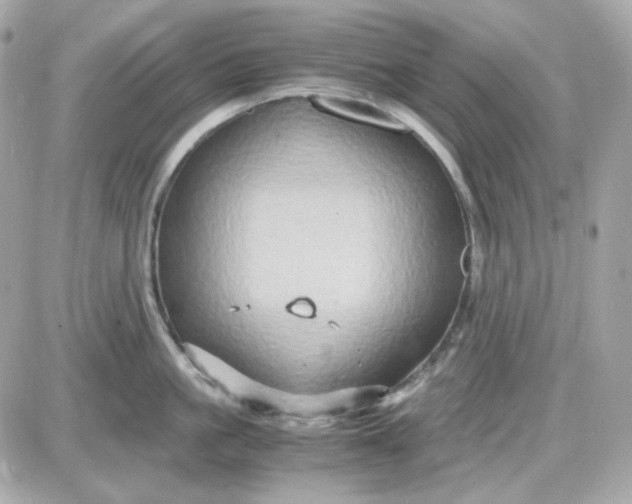 X0000087520861200705112004