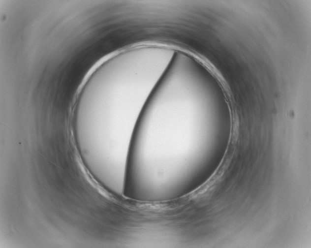 X0000087520862200705112004