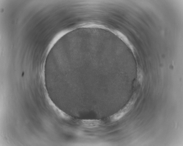 X0000087520863200705112004