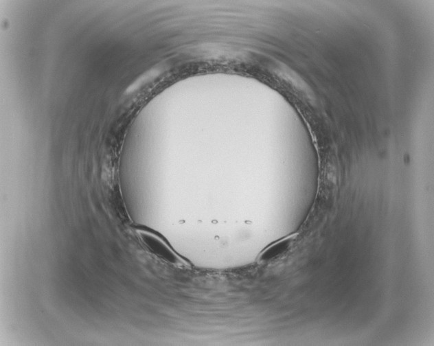 X0000087520869200705112004