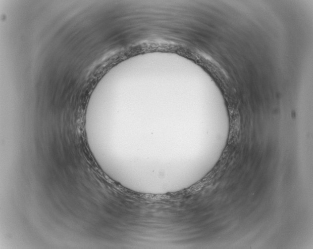 X0000087520870200705112004