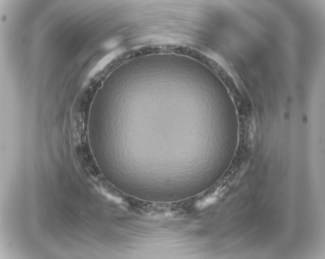 X0000087520871200705112004