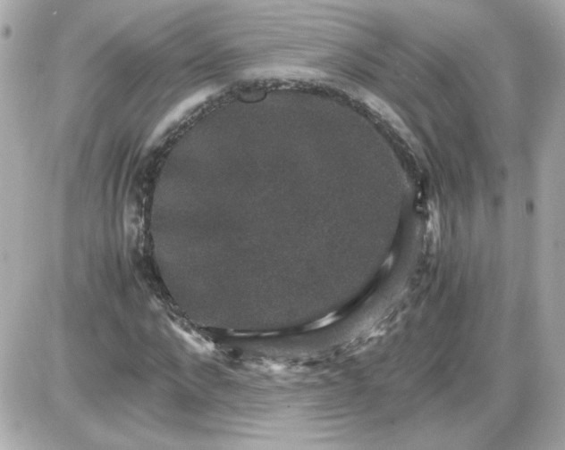 X0000087520872200705112004