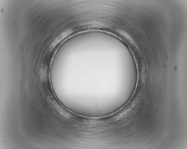 X0000087520873200705112004