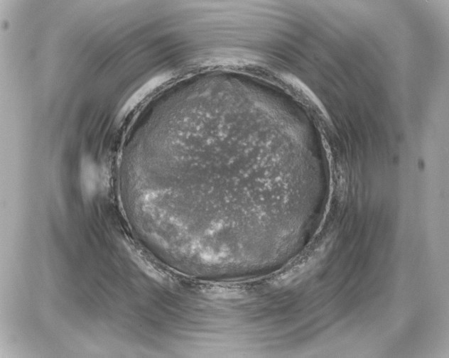 X0000087520874200705112004