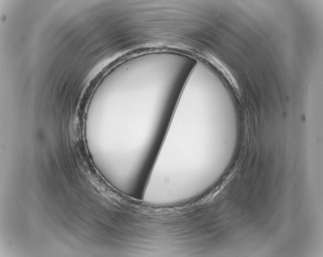 X0000087520876200705112004