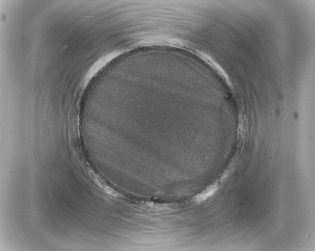 X0000087520877200705112004