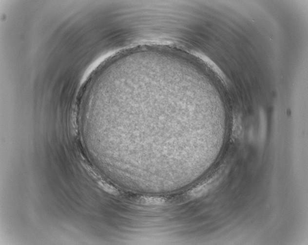 X0000087520878200705112004