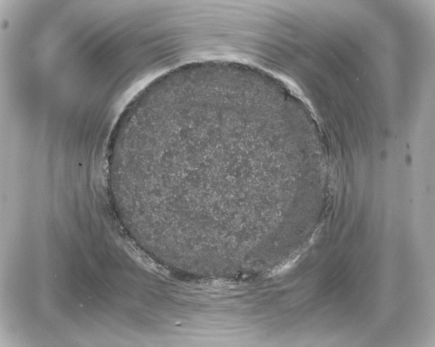 X0000087520879200705112003