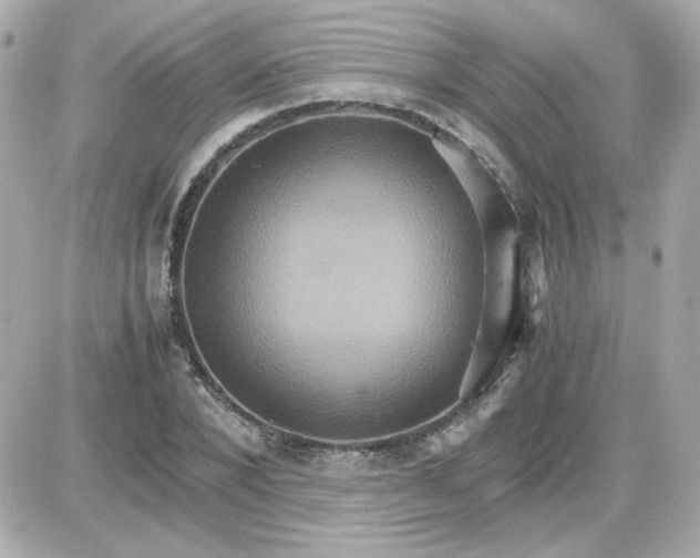 X0000087520880200705112003