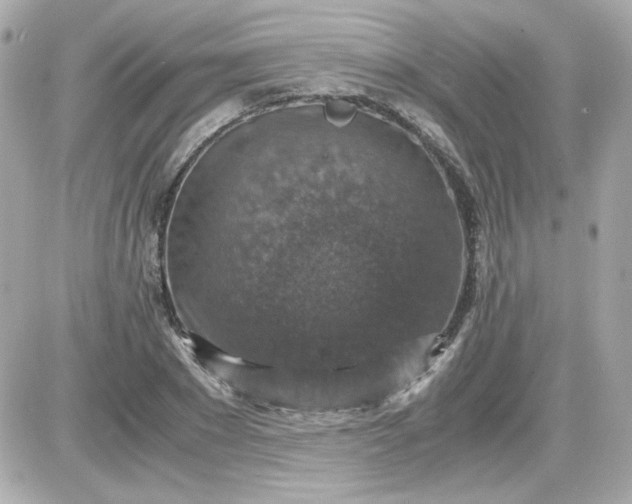 X0000087520881200705112003