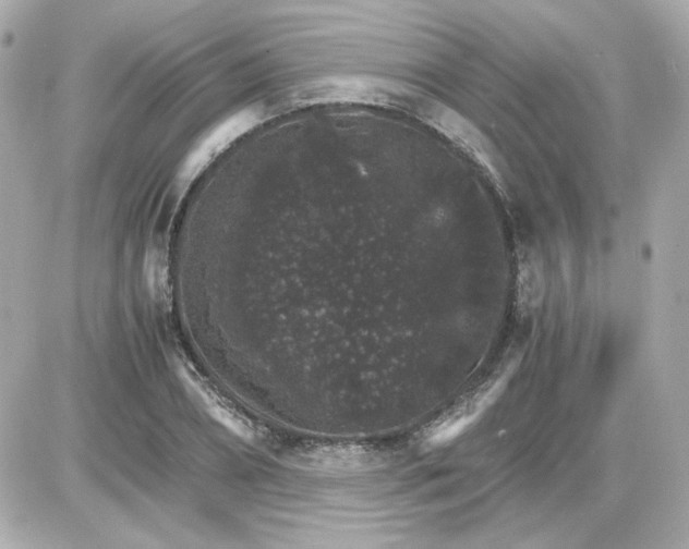 X0000087520882200705112003