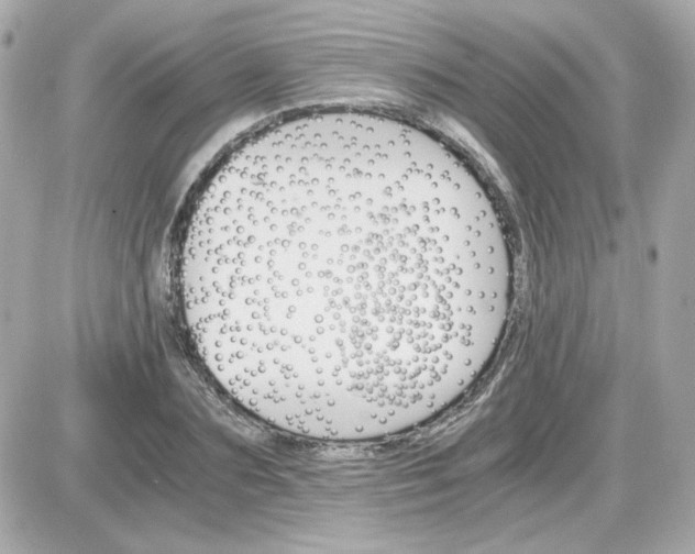 X0000087520883200705112003