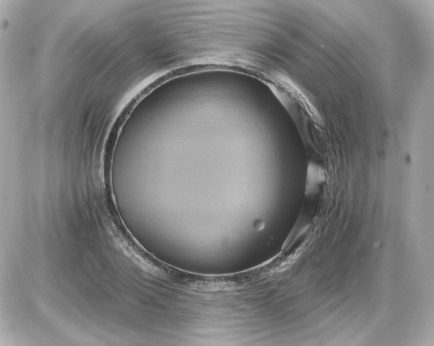 X0000087520884200705112003