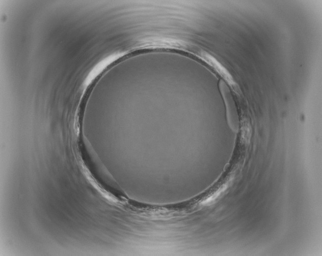 X0000087520885200705112003