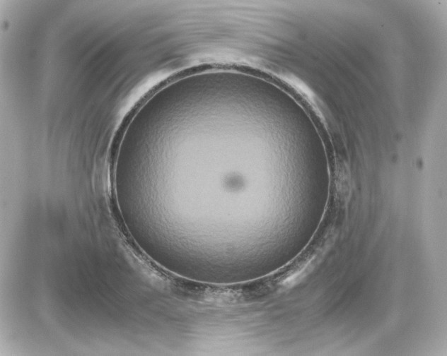 X0000087520887200705112003