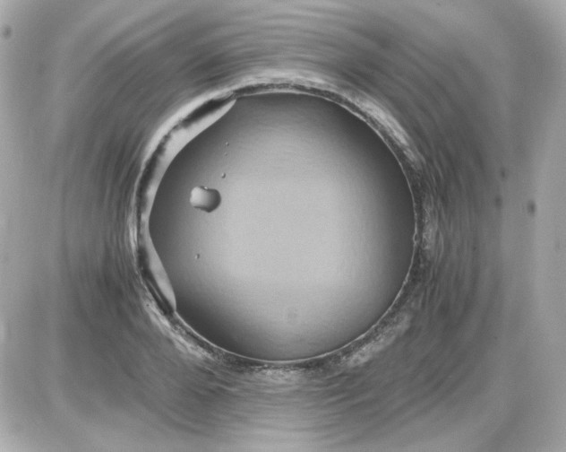 X0000087520888200705112003