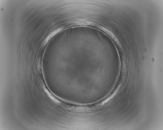 X0000087520889200705112003