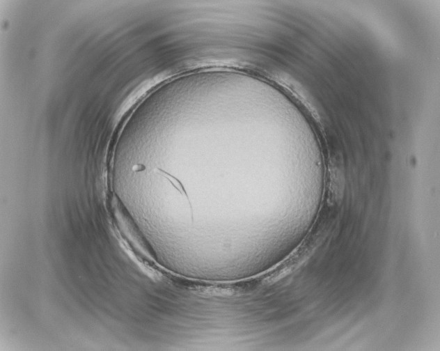 X0000087520890200705112003