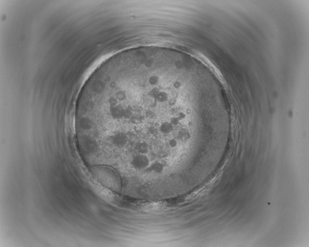 X0000087520891200705112003