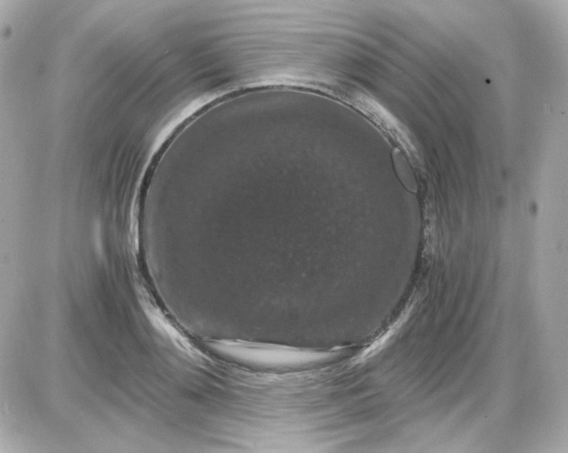 X0000087520892200705112003