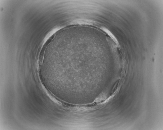 X0000087520893200705112003