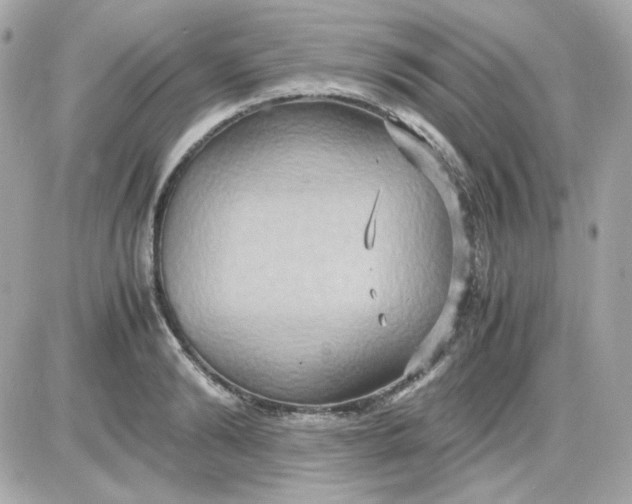 X0000087520894200705112003