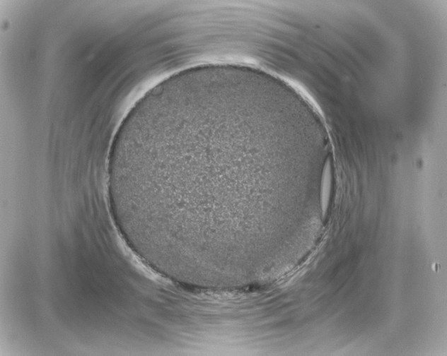 X0000087520895200705112003