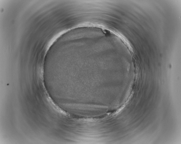 X0000087520896200705112003