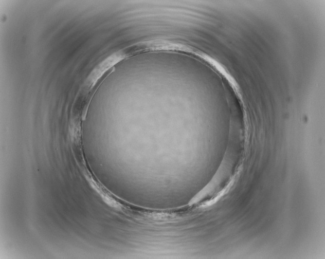 X0000087520897200705112003