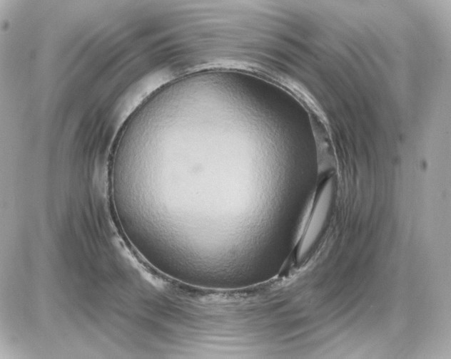 X0000087520898200705112003