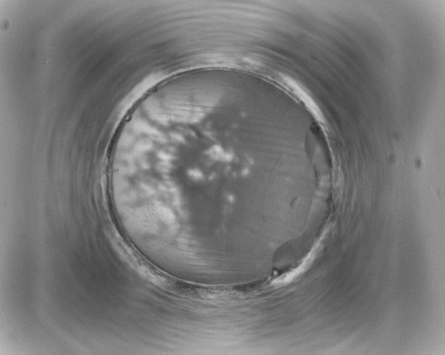 X0000087520899200705112003