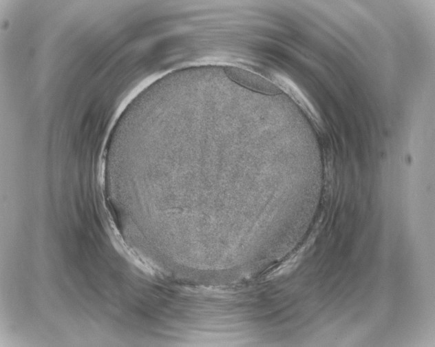 X0000087520900200705112003