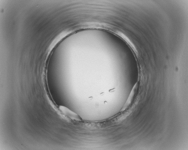 X0000087520901200705112003