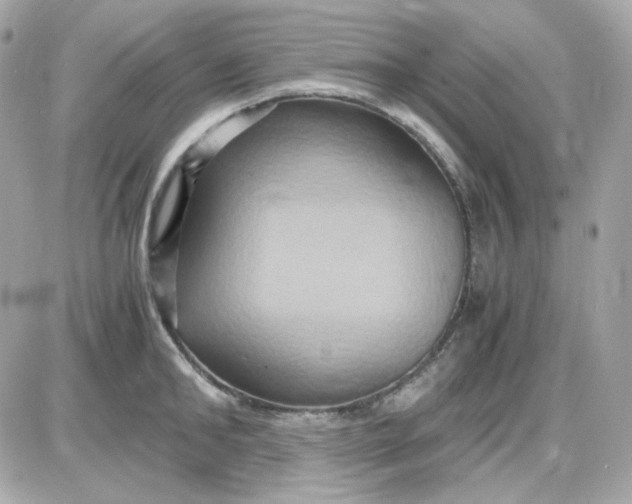 X0000087520902200705112003