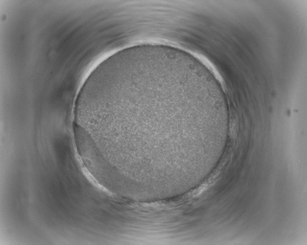 X0000087520903200705112003