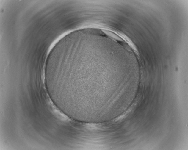 X0000087520904200705112003