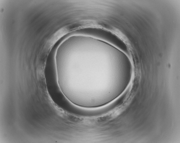 X0000087520905200705112003