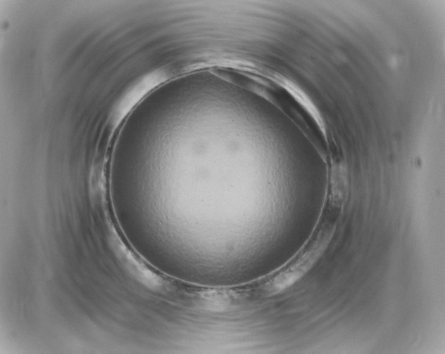 X0000087520906200705112003