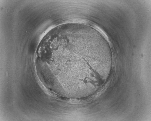 X0000087520907200705112003