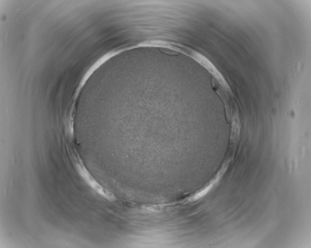 X0000087520908200705112003