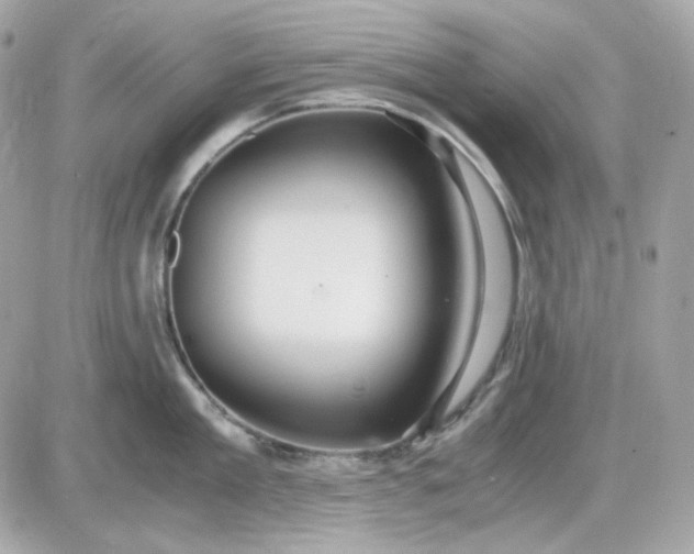 X0000087520909200705112003